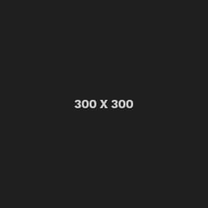 Dark gray 300x300 placeholder image with text